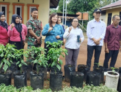 5 Jenis Usaha Pertanian di Kubar: Peluang Emas di Tanah Kaya Sumber Daya