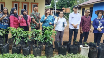 Usaha Pertanian di Kubar